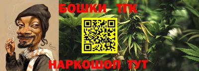 СК Краснодар