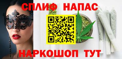 mdpv Краснознаменск