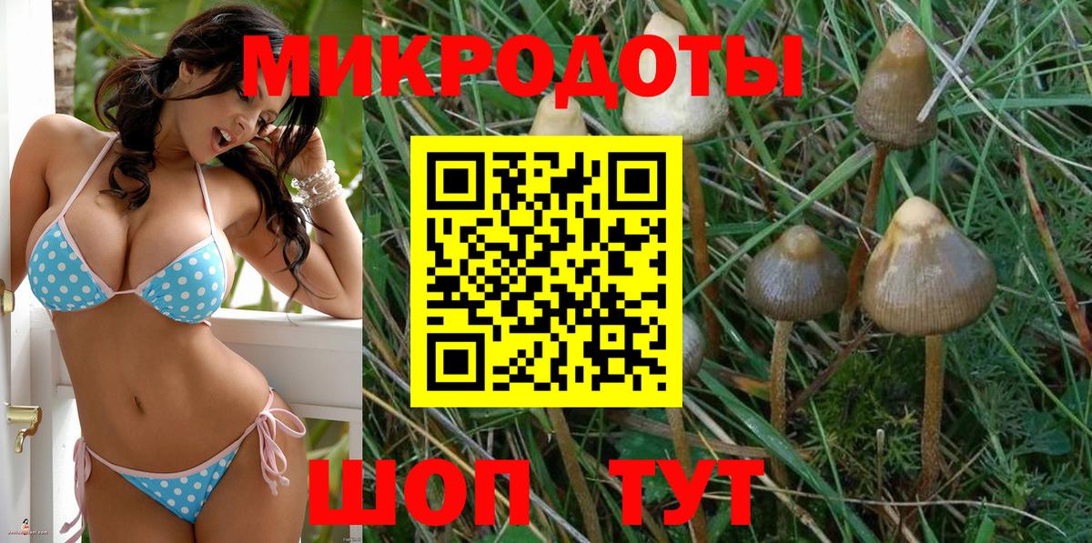 Галлюциногенные грибы Magic Shrooms  Вход с VPN  Псилоцибиновые грибы ЛСД  Красногорск 