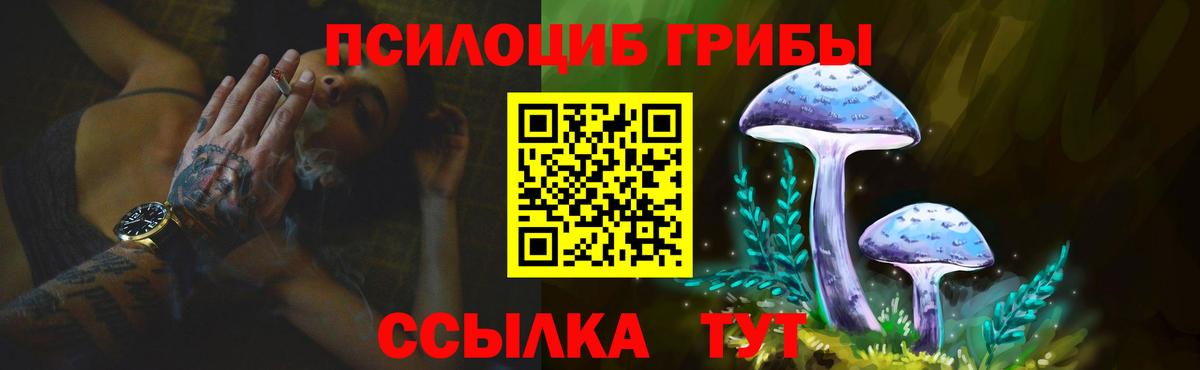 Псилоцибиновые грибы Cubensis Красногорск